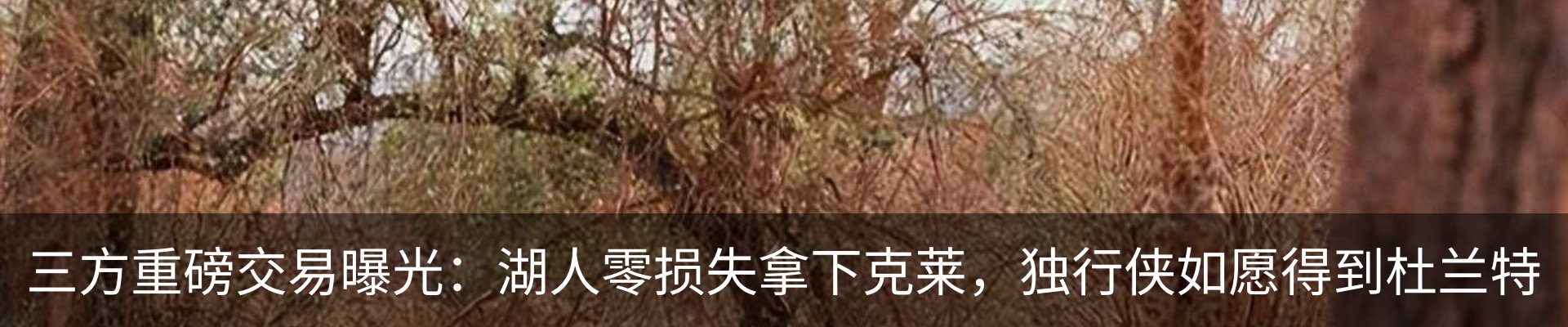 热点资讯