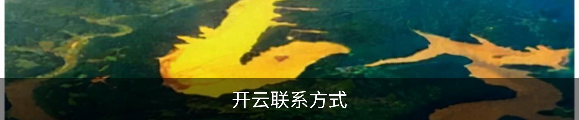 开云联系方式
