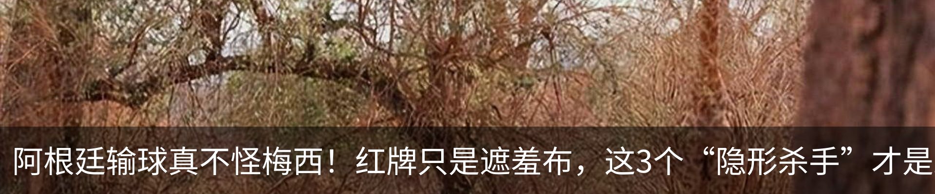 热点资讯